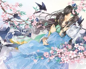 神秘影院入口